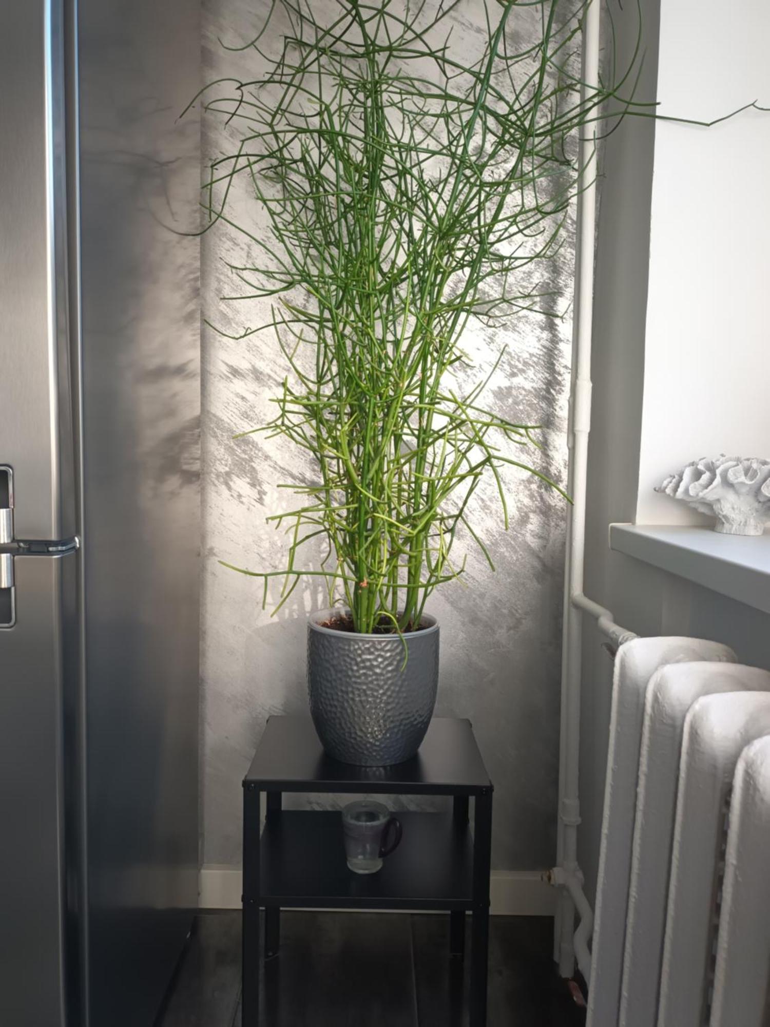 Apartment Tallinn Ngoại thất bức ảnh